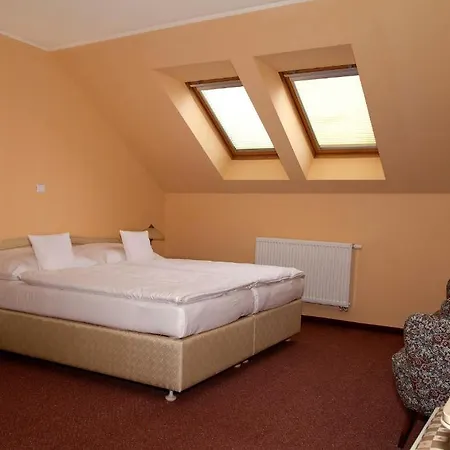 Wellness Ida 4* Františkovy Lázně