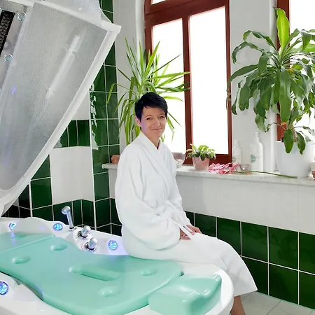 호텔 Wellness Ida