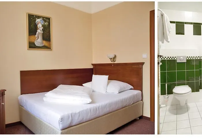 Wellness Ida Františkovy Lázně