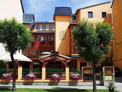Hotel Wellness Ida Františkovy Lázně